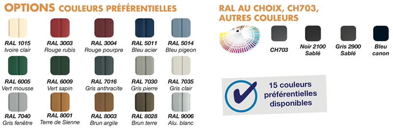 Coloris de la porte de garage basculante